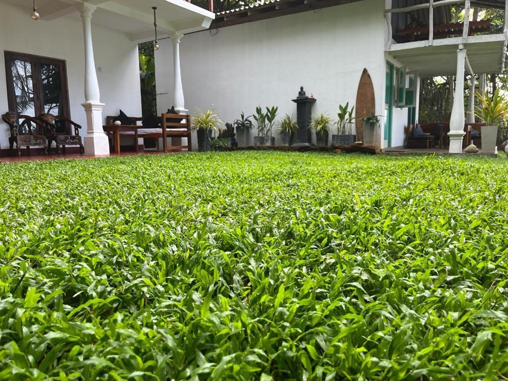 Beach House Kalukatiya - Family Villa, Seaview Room, Garden Room Dikwella Sur Exterior foto