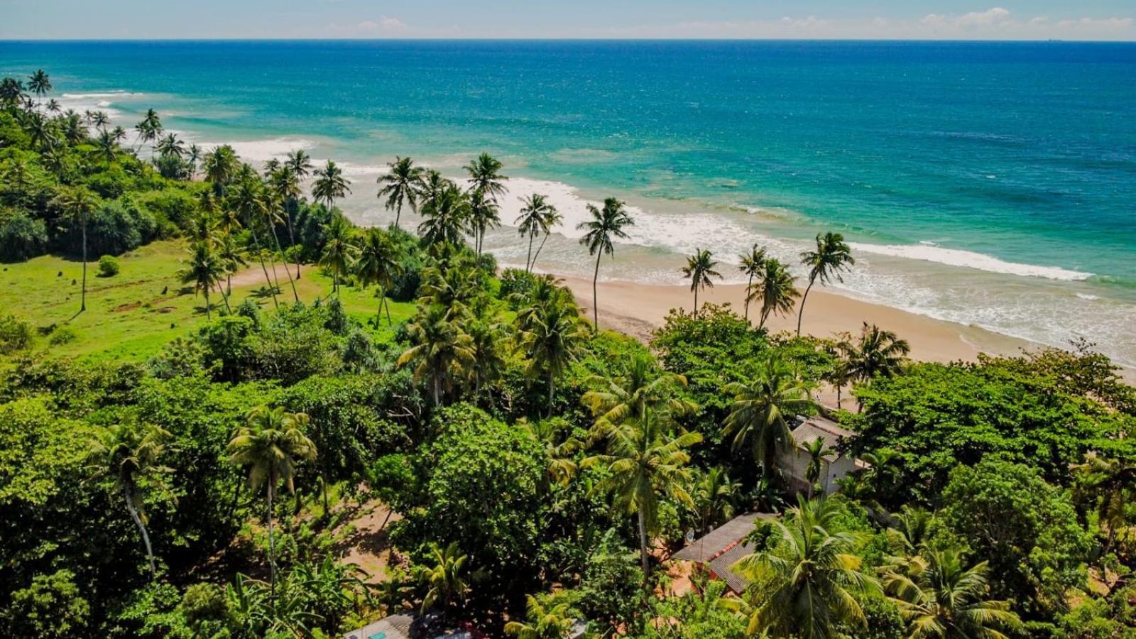 Beach House Kalukatiya - Family Villa, Seaview Room, Garden Room Dikwella Sur Exterior foto