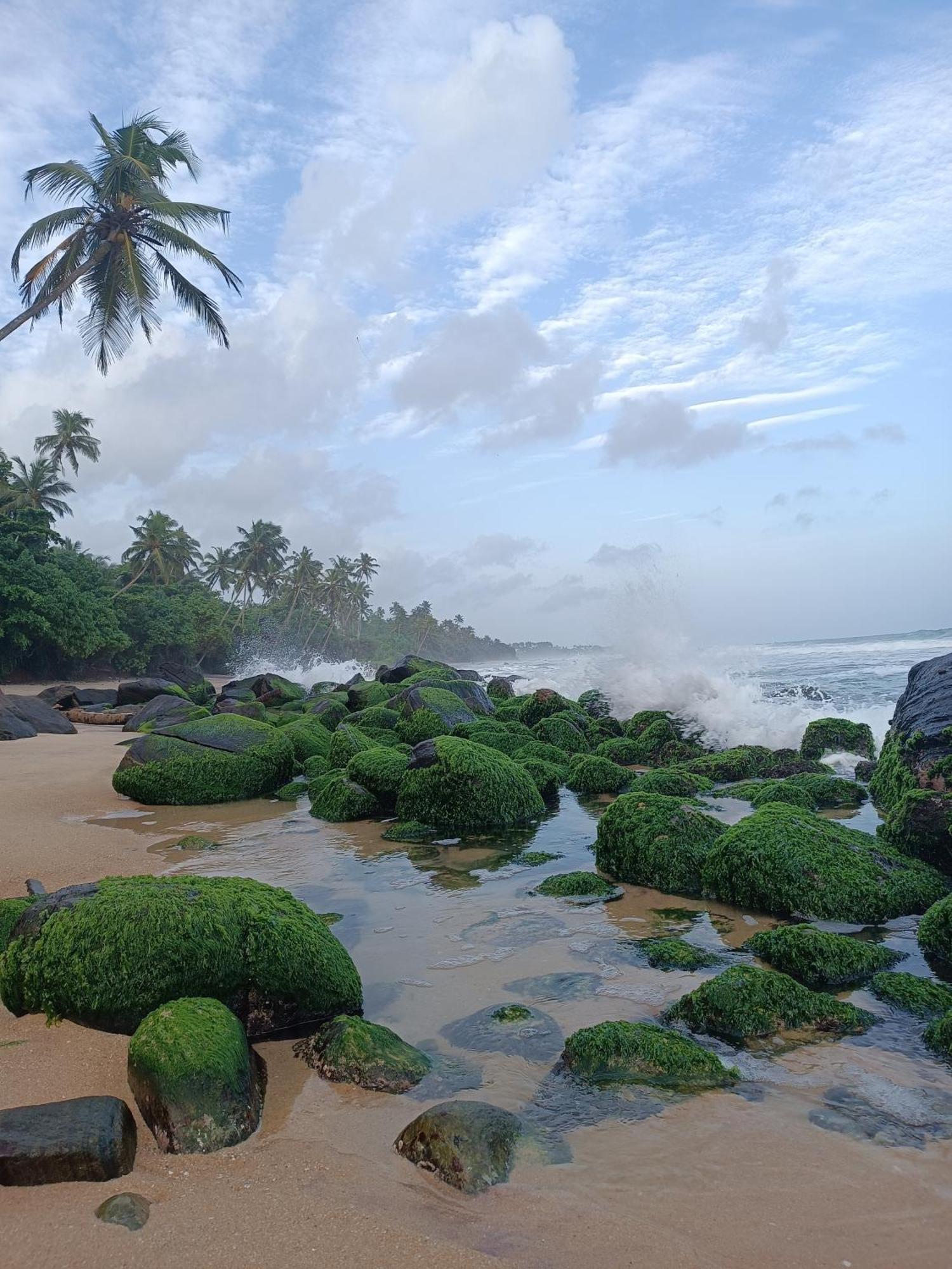 Beach House Kalukatiya - Family Villa, Seaview Room, Garden Room Dikwella Sur Exterior foto